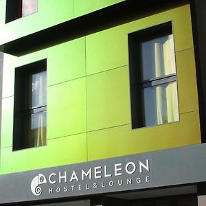 Chameleon Youth Hostel Alicante